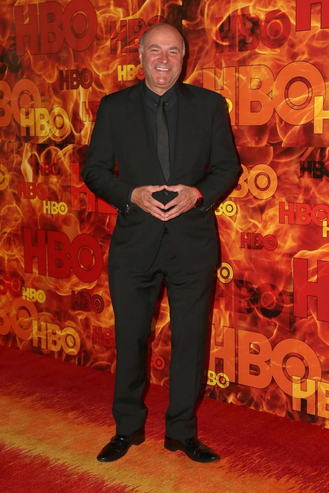 LOS ANGELES, SEP 20 -  Kevin O Leary at the HBO Primetime Emmy Awards After-Party at the Pacific Design Center on September 20, 2015 in West Hollywood, CA photo