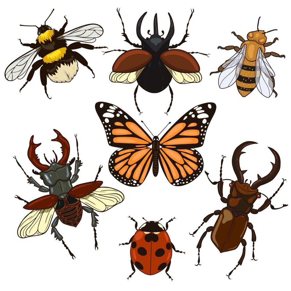 Set of insects isolated on a white background. Vector graphics.