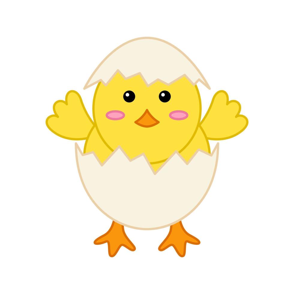 Chick isolated on white background. Vector illustration