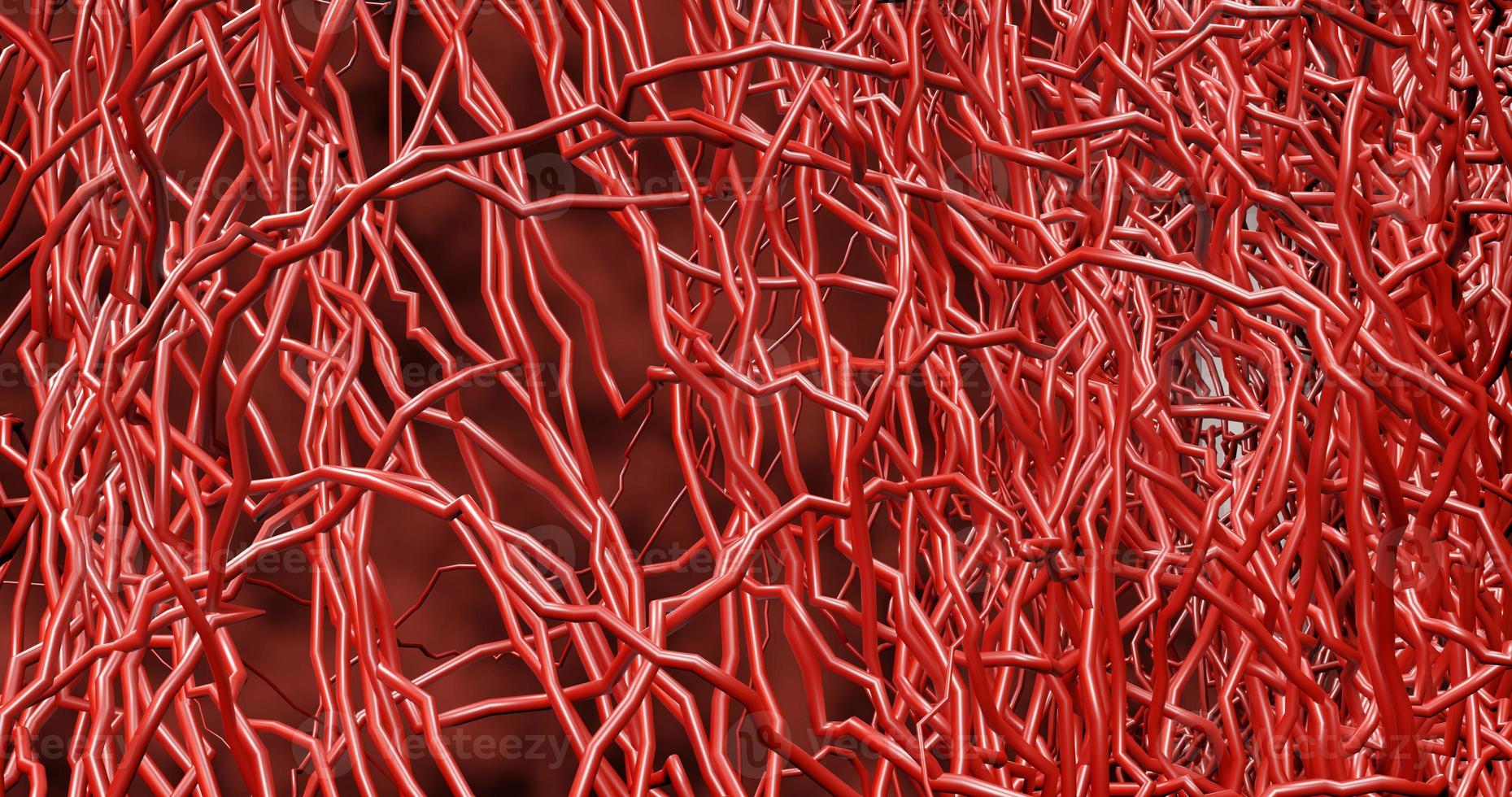 System many small capillaries branch out of the large blood vess photo