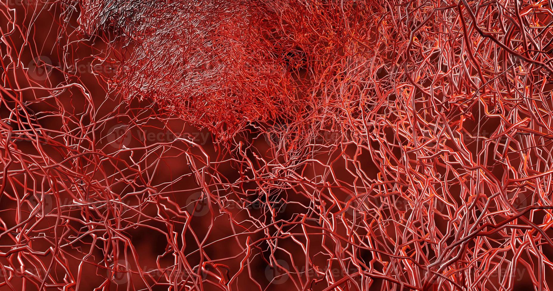 System many small capillaries branch out of the large blood vess photo