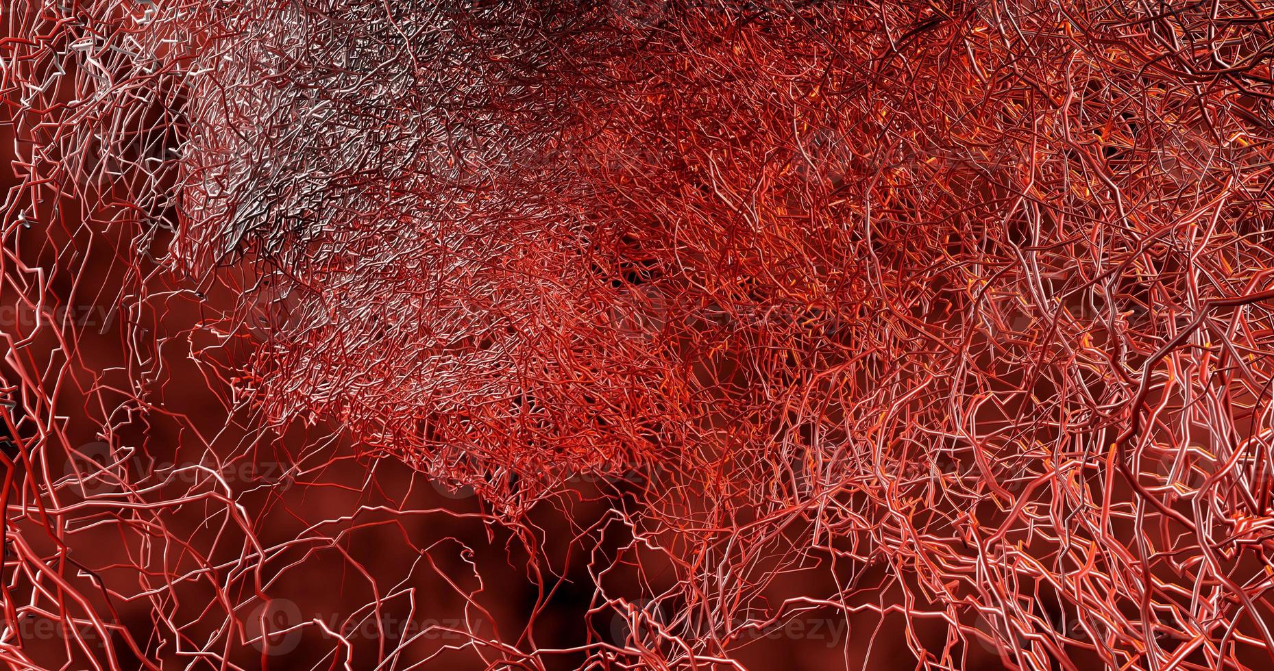 System many small capillaries branch out of the large blood vess photo
