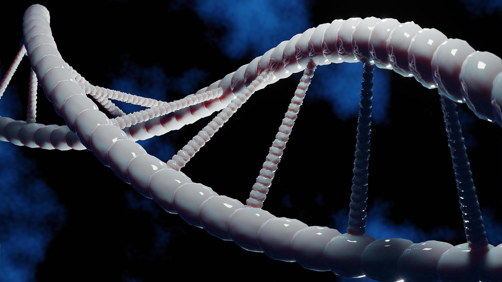 Helix human DNA structure. Science and Technology concept.3d rendering. photo