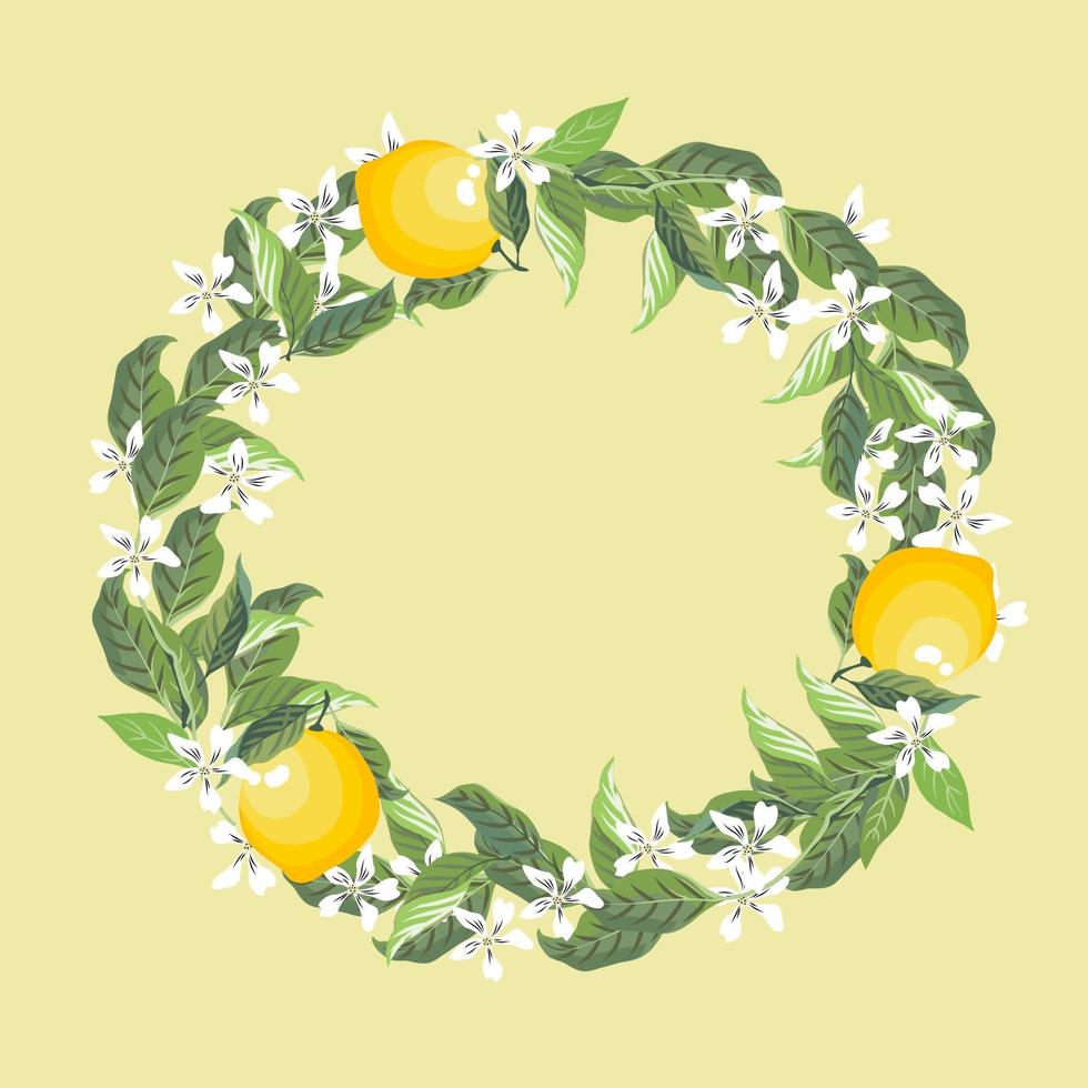 A round wreath  of yellow fresh lime or lemon, pastel green leaves and white little flowers, shows reflex shadow, flat vector hand drawn image.