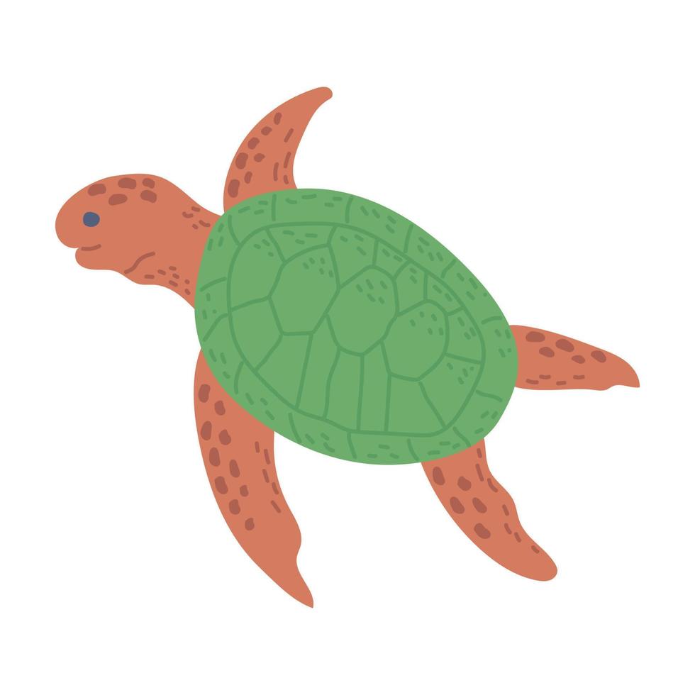 A turtle drawn in doodle style. Summer collection. Flat vector illustration