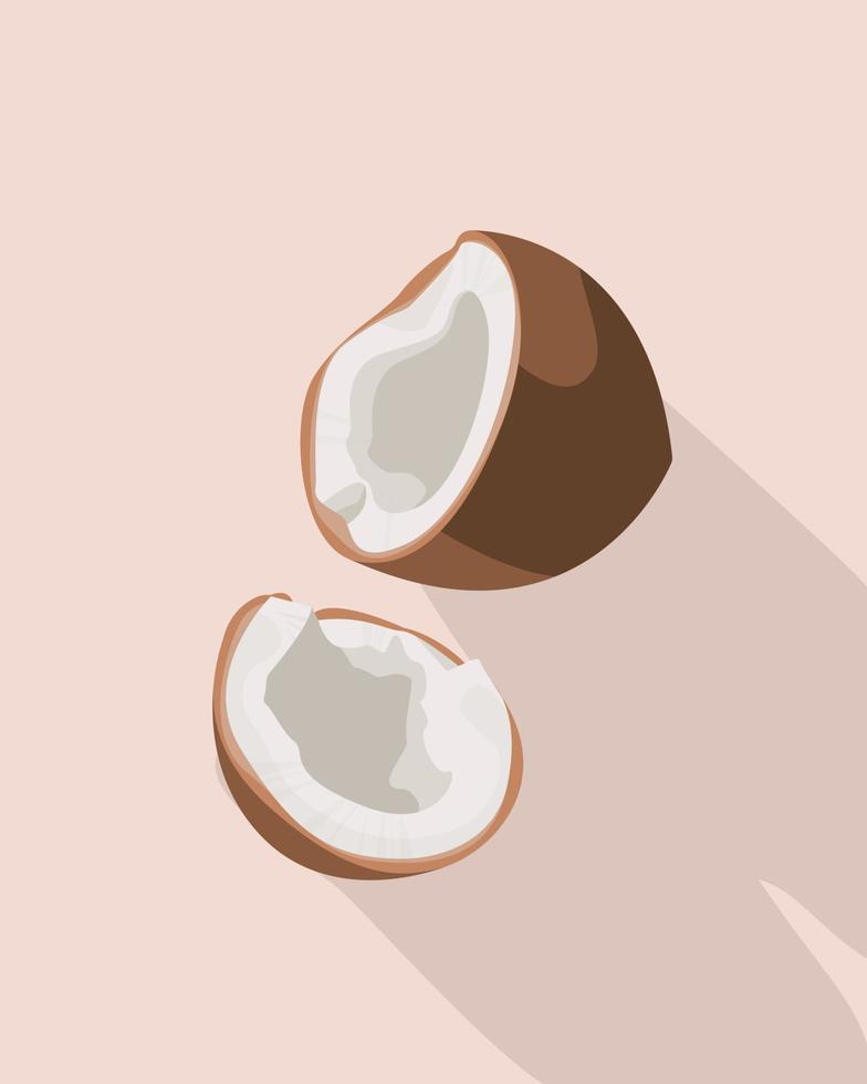 Fresh whole and a half coconut. Realistic vector illustration isolated on white background.