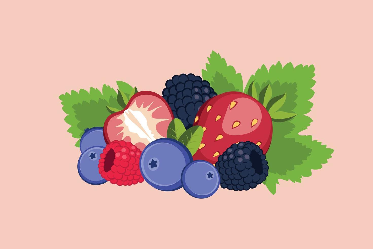 Vector fresh berries. Forest berries. Berry fruit set with bunches of ripe berries and images of green leaves. Strawberries, raspberries, blackberries and blueberries.