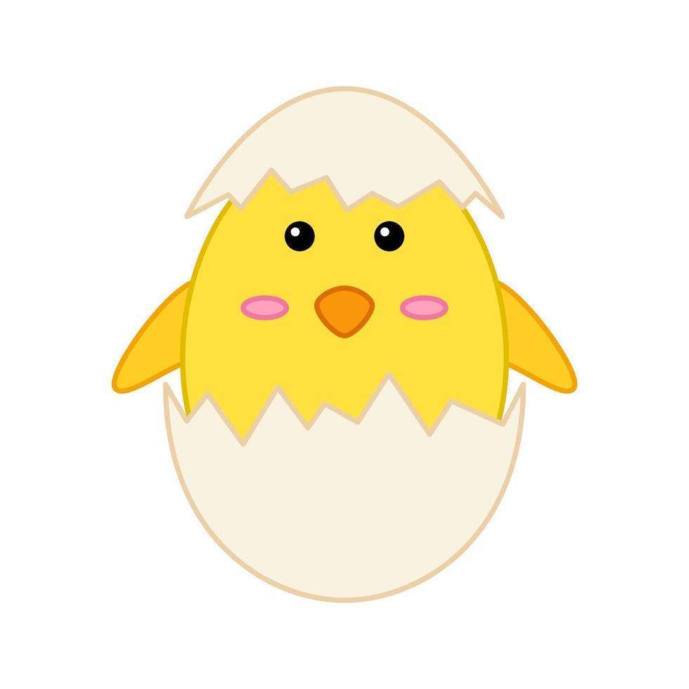 Chick isolated on white background. Vector illustration