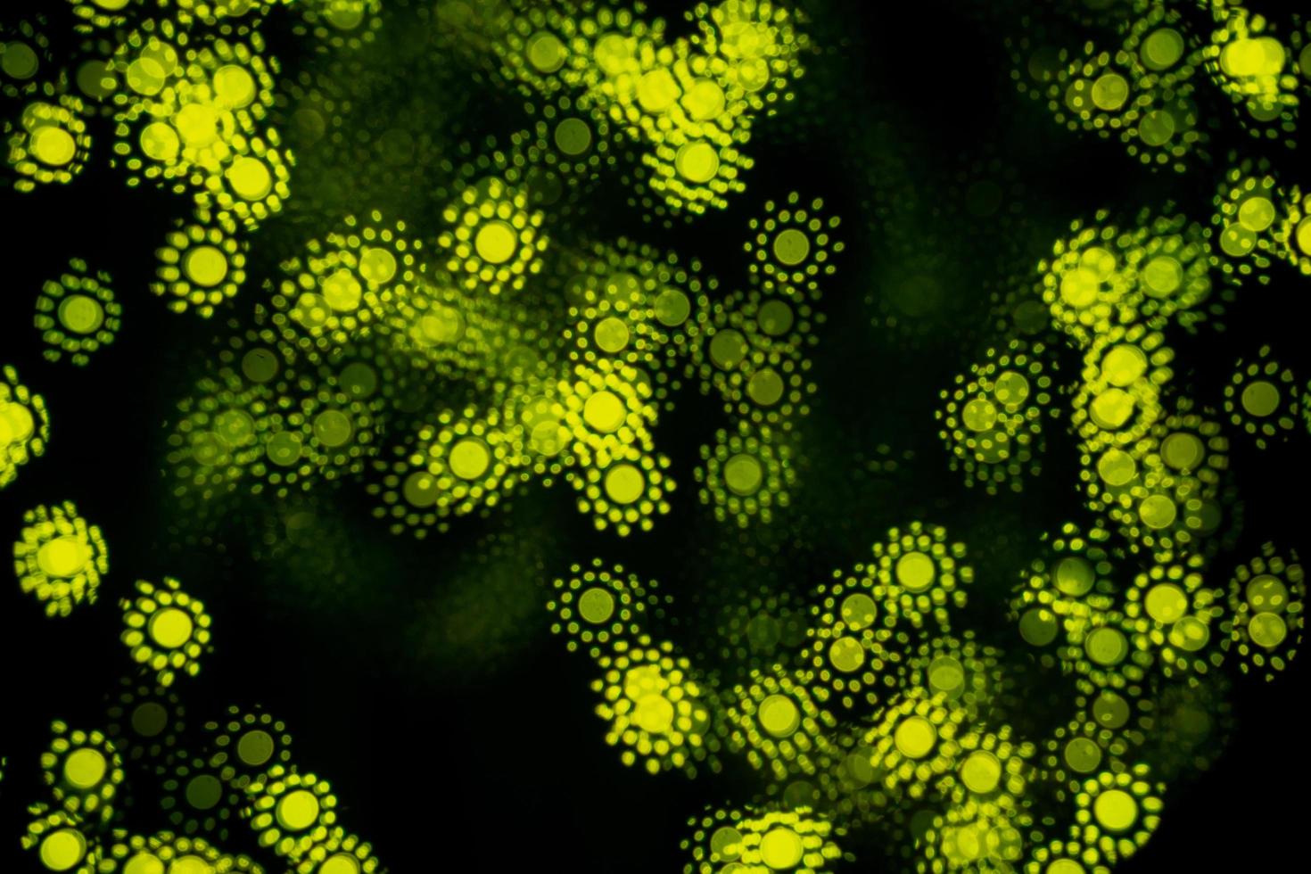 Bokeh abstracto formas de luz foto