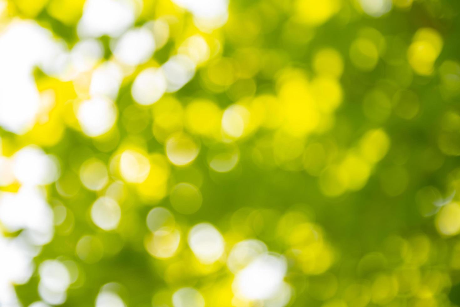 Abstract bokeh defocus blurs photo