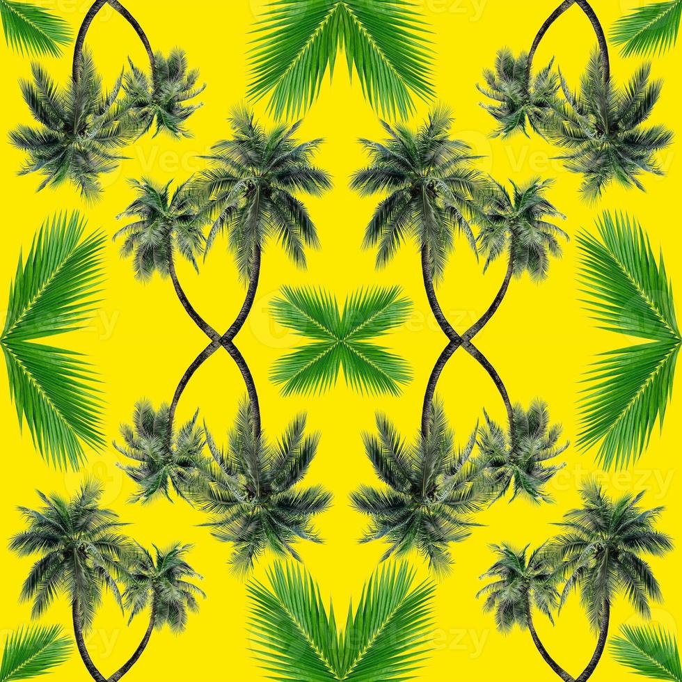 Green palm leaves pattern for nature concept,tropical coconut tree isolated on yellow background photo