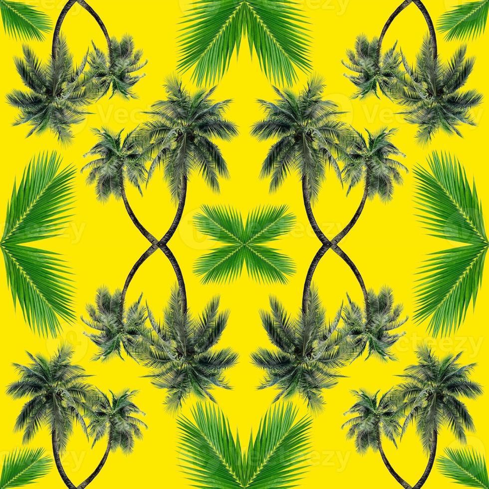 Green palm leaves pattern for nature concept,tropical coconut tree isolated on yellow background photo