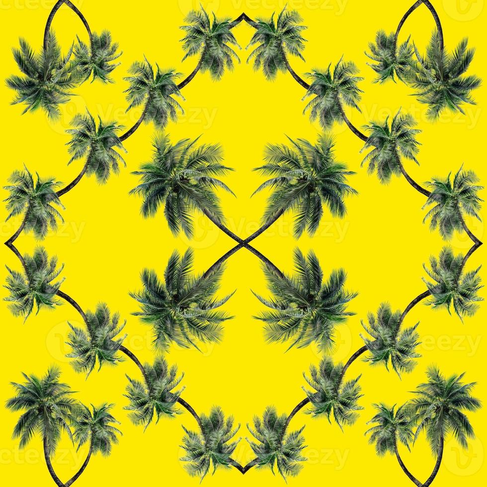 Green palm leaves pattern for nature concept,tropical coconut tree isolated on yellow background photo