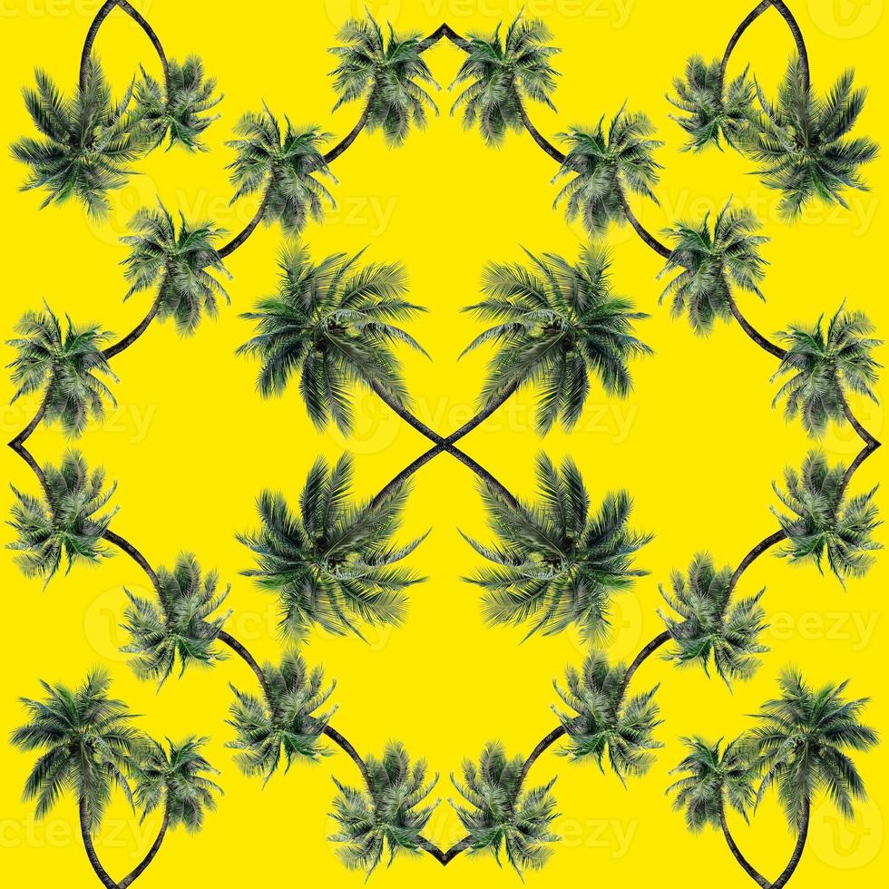 Green palm leaves pattern for nature concept,tropical coconut tree isolated on yellow background photo