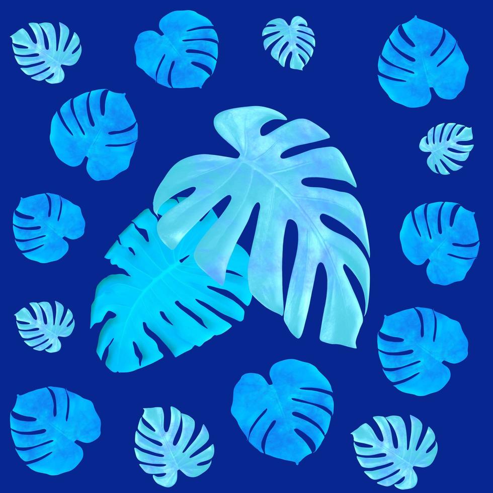 leaves monstera pattern isolated on blue background photo