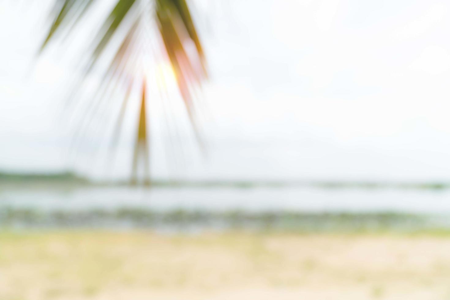 difuminar el mar de verano con hojas de playa y coco y copiar espacio para el concepto de paisaje de viaje foto