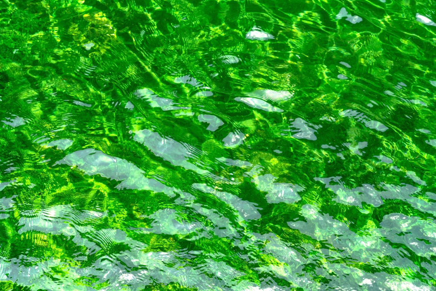 condición verde agua reflejada en el sol foto