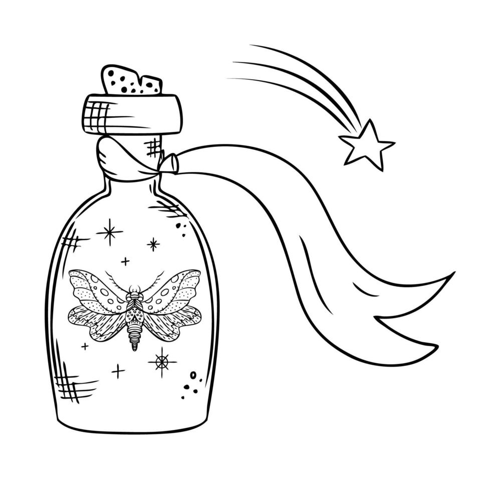 Mystical composition vector line art illustration with magic elements. Night moth in glass bottle.