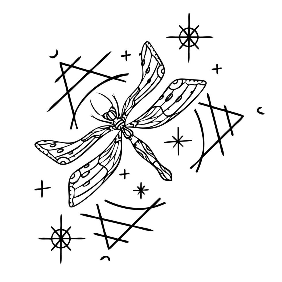 ilustración de arte de línea de vector de composición mística con elementos mágicos. libélula y figura geométrica