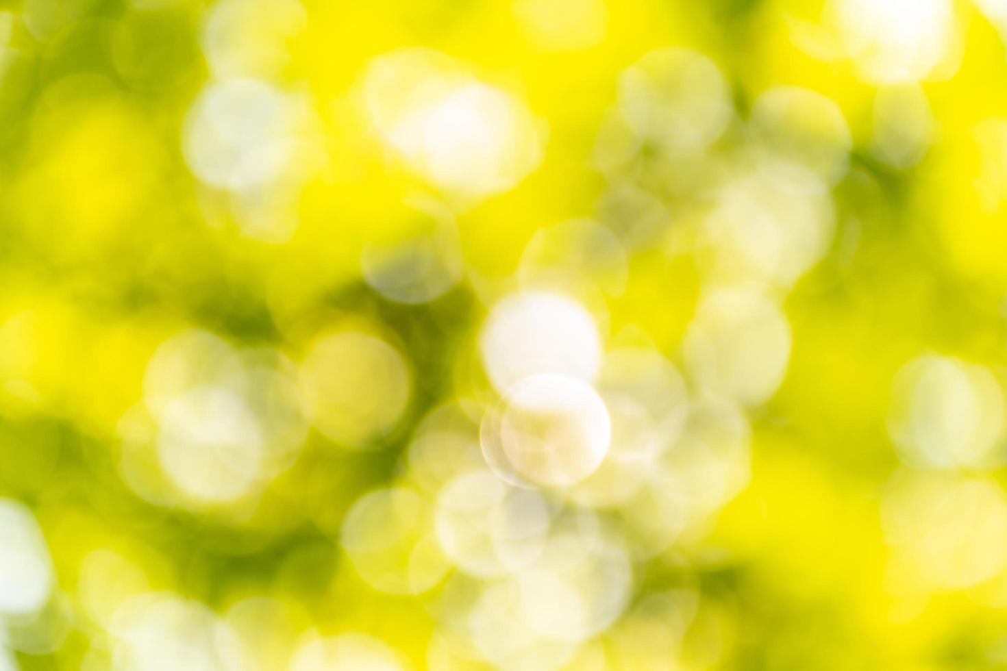 Abstract bokeh defocus blurs photo