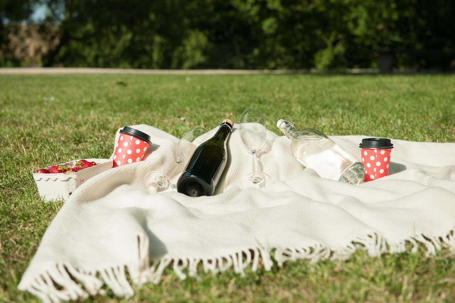 Champagne bottle on blanket photo