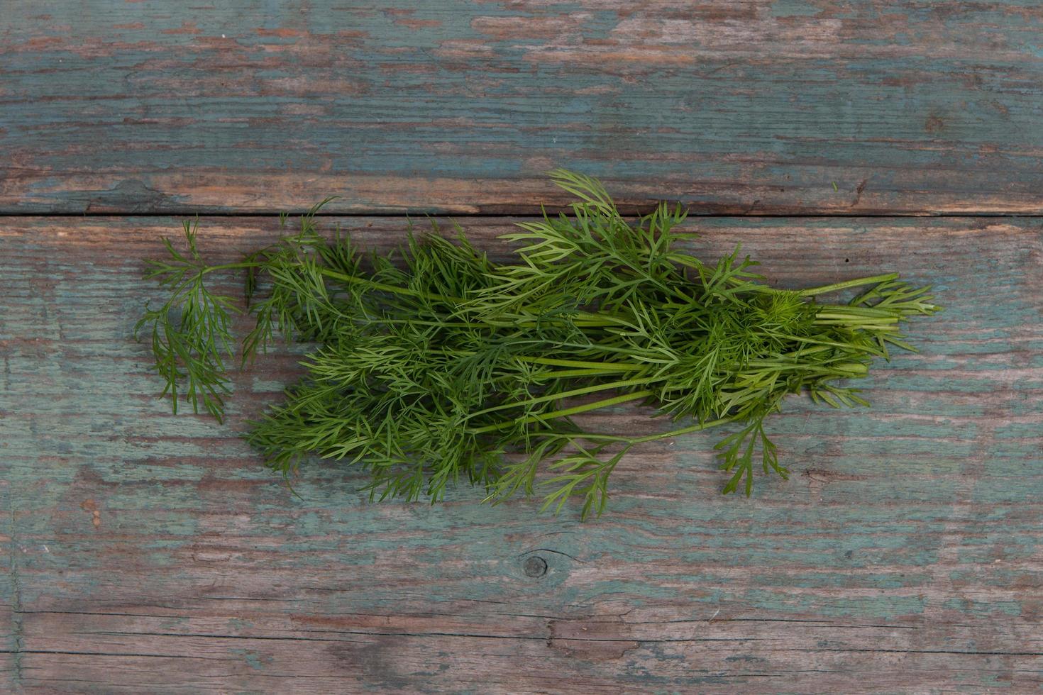 Dill on table photo