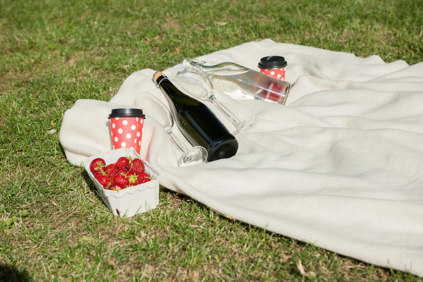 Champagne bottle on blanket photo