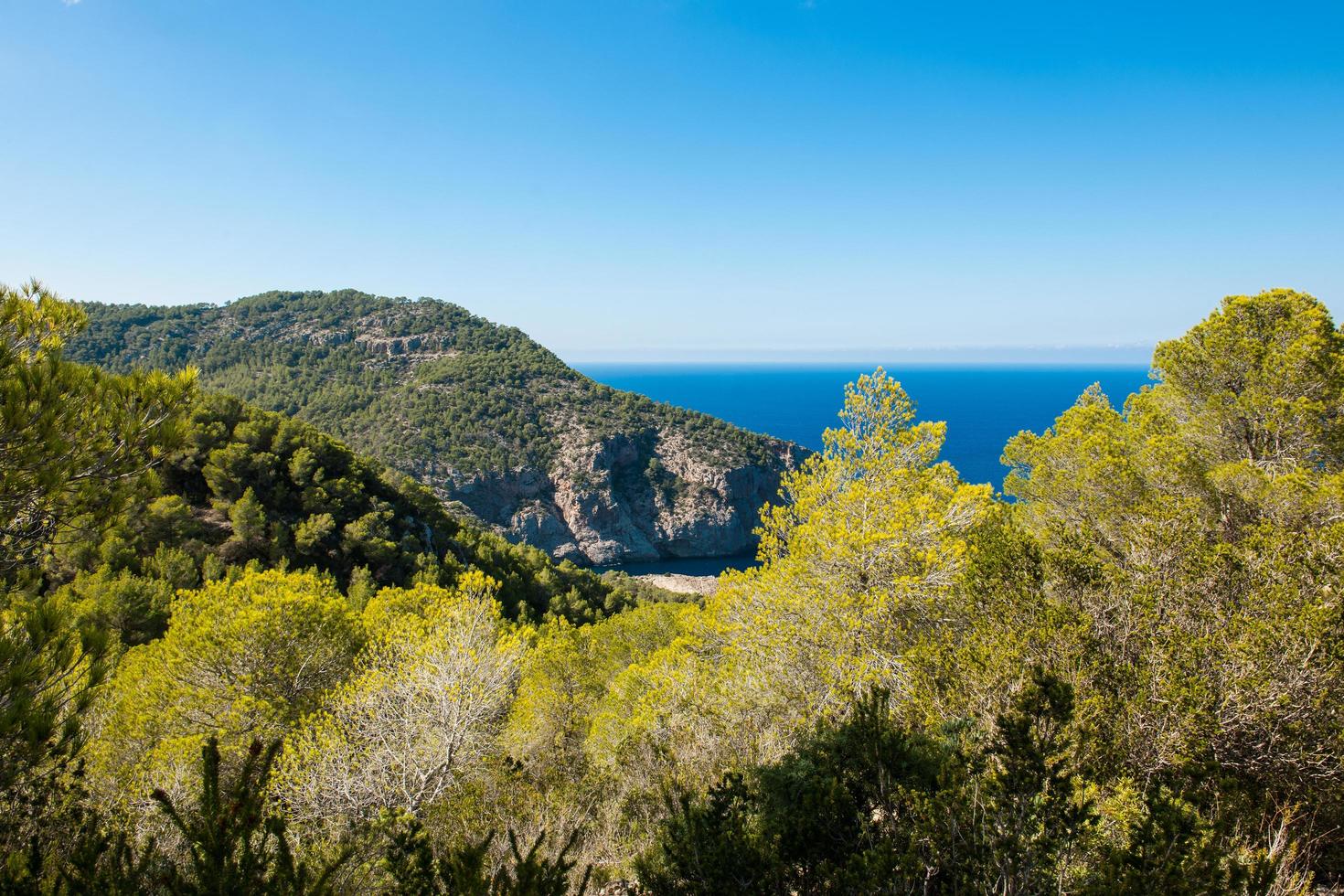 View from a cliff photo