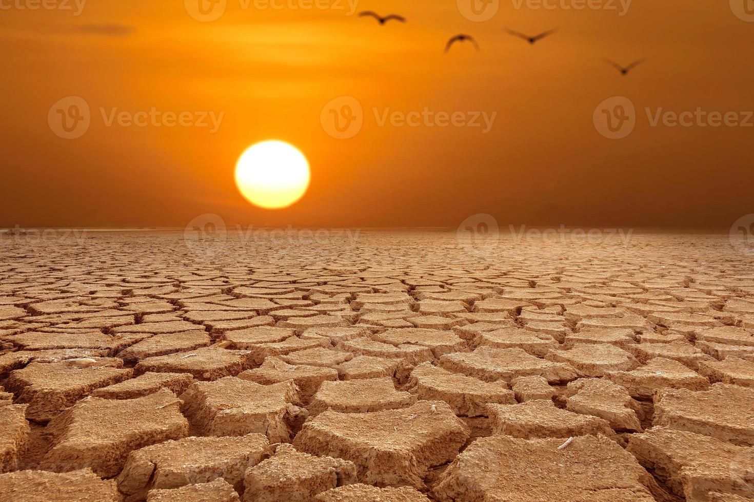 Global warming, drought, lack of rain, no seasonality The land is cracked. concept of environment change and global warming photo