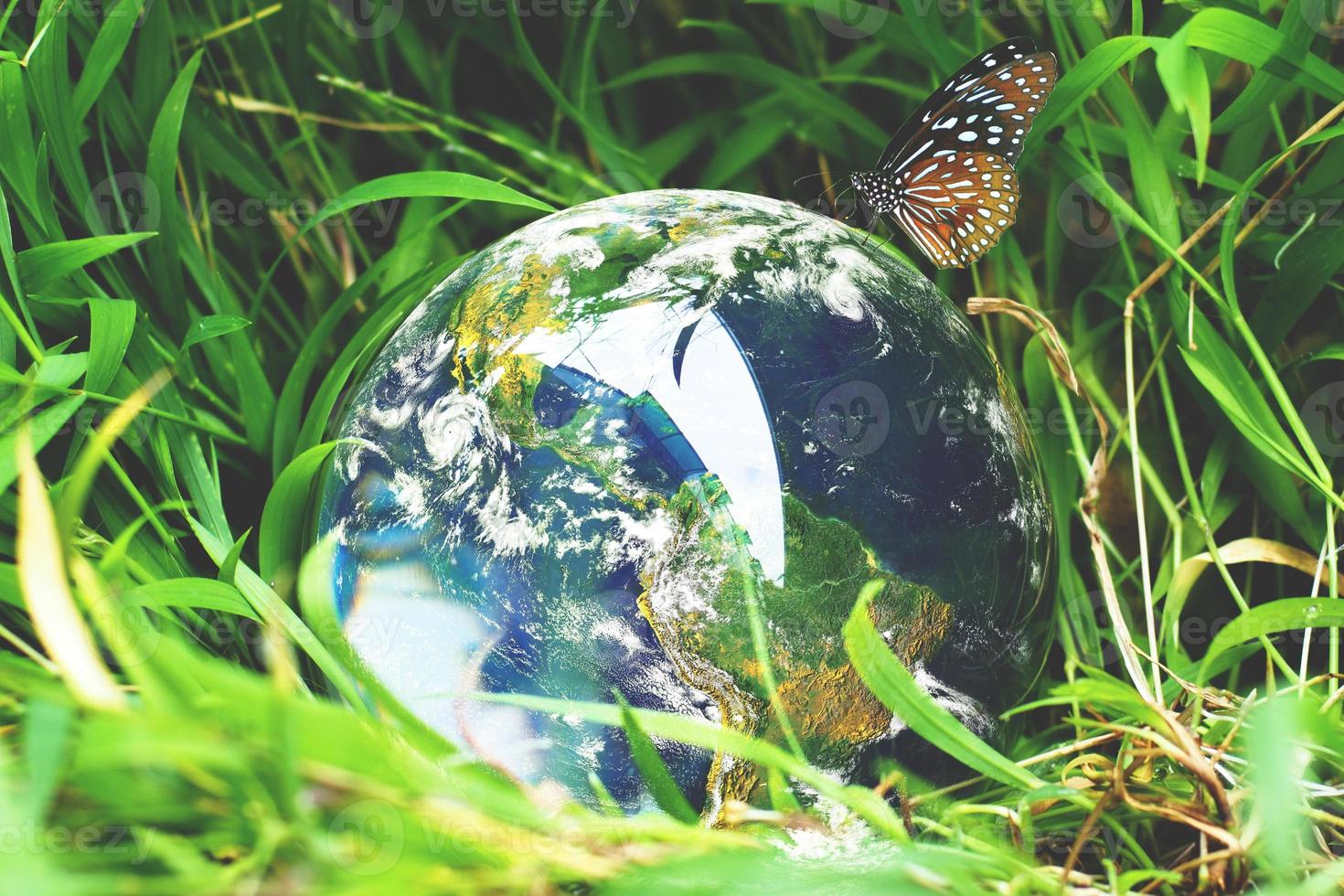 The crystal ball with the world on the grass. concept of the world and nature photo