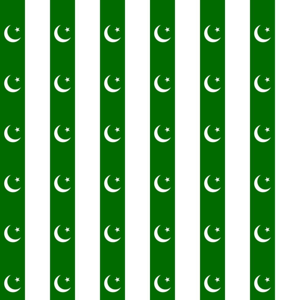 fondo transparente símbolo bandera nacional pakistán vector