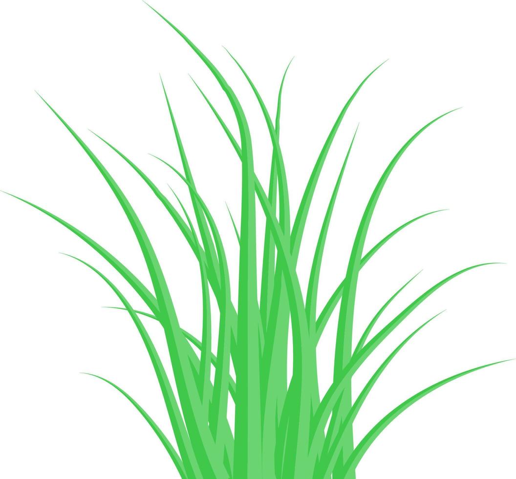 Green grass. The Bush grass. Vector illustration.