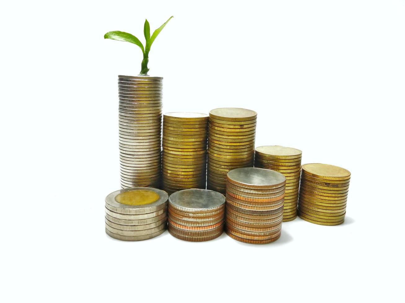 The silver and gold coins are stacked, and the green seedlings are booming. White background gives ideas for business growth, finance, savings, interest, feel wealth in life. photo