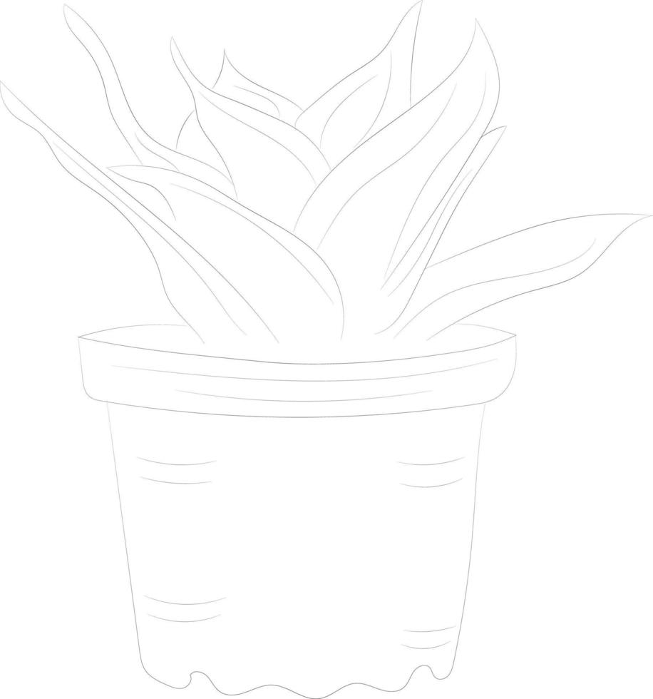 Isolated tree rose flower hand drawing line art with leaves vector