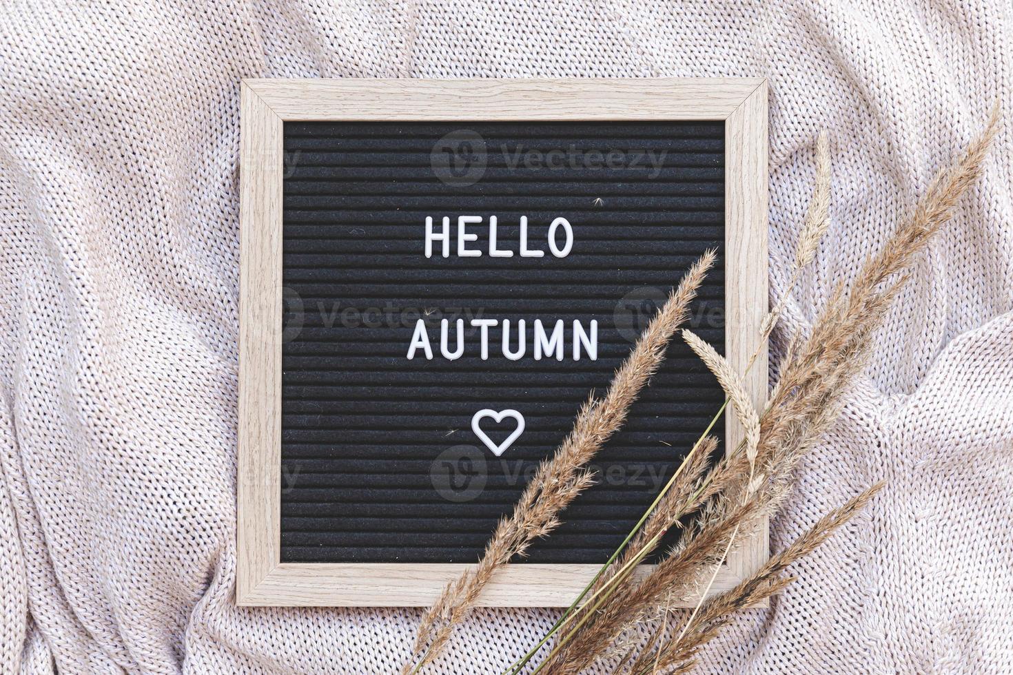 Autumnal Background. Black letter board with text phrase Hello Autumn and dried grass lying on white knitted sweater. Top view, flat lay. Thanksgiving banner. Hygge mood cold weather concept photo