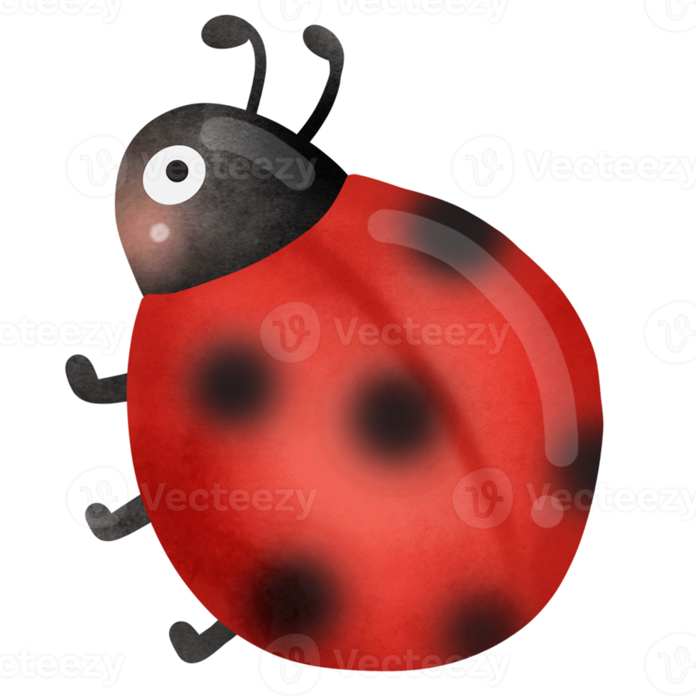 Cute cartoon lady bug png