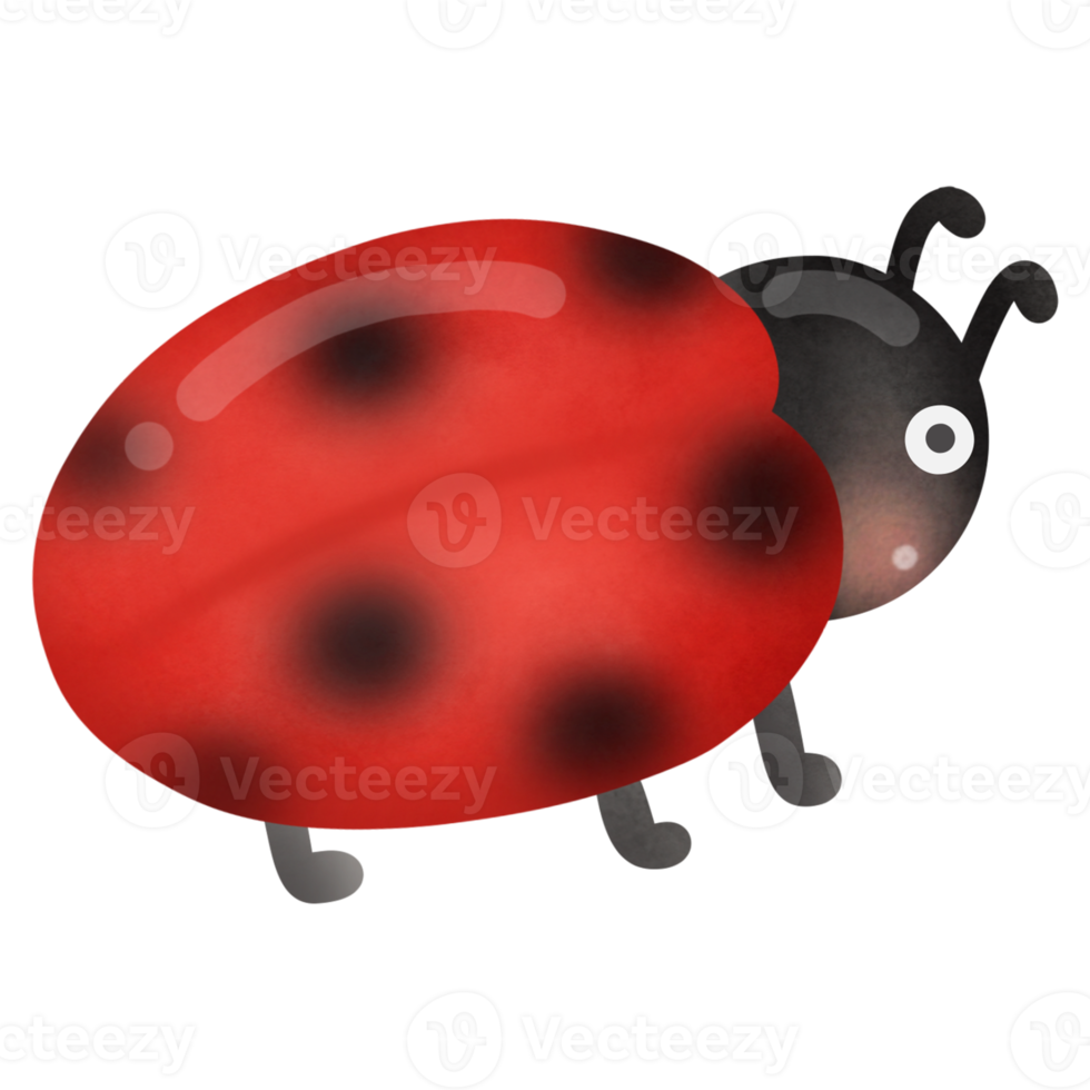 Cute cartoon lady bug png