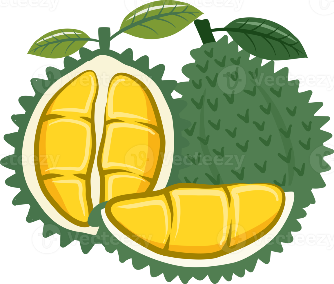 Durian Collection fruits png