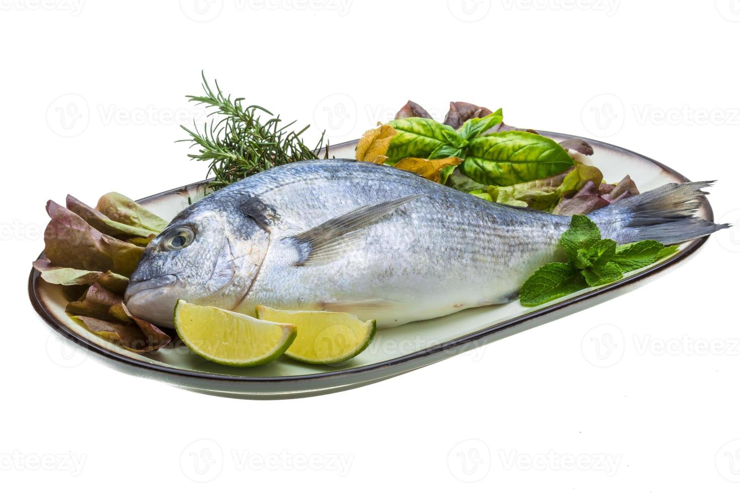 Fresh raw dorada photo