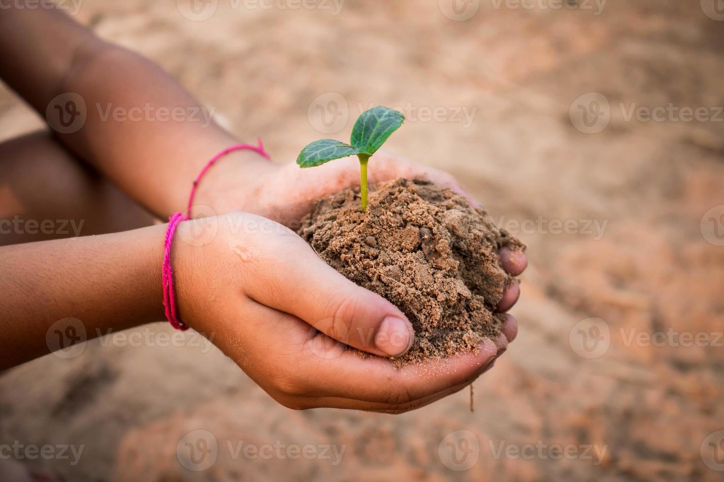 Children planting forests to reduce global warming, Concept afforest. photo