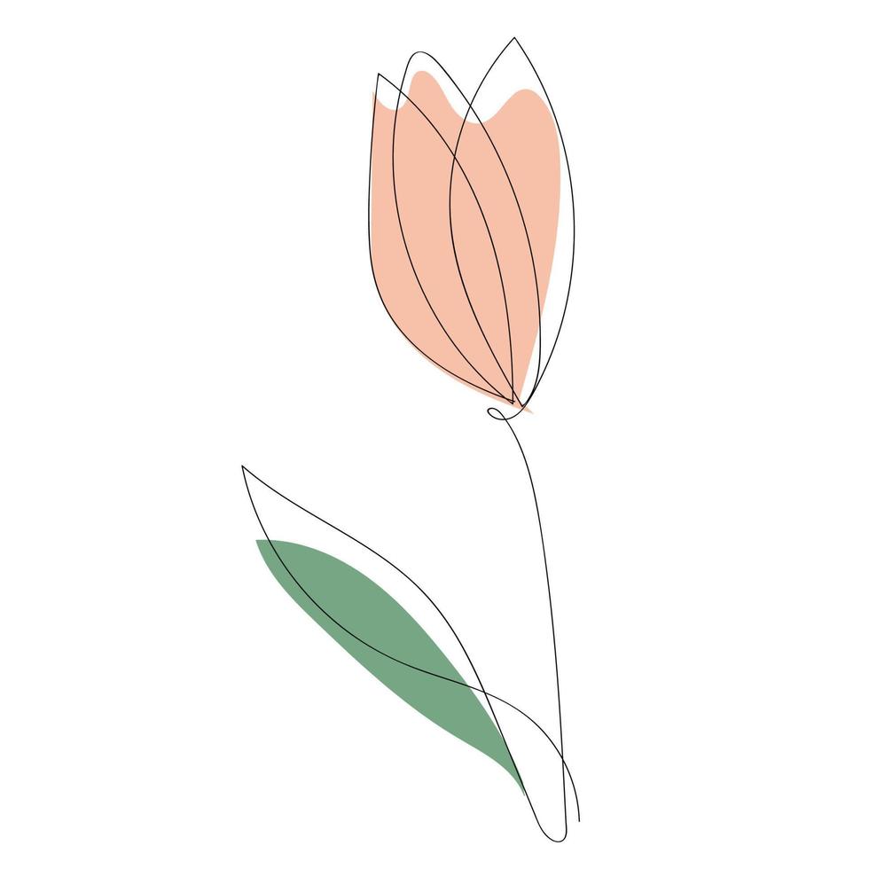 Single line art flower vector