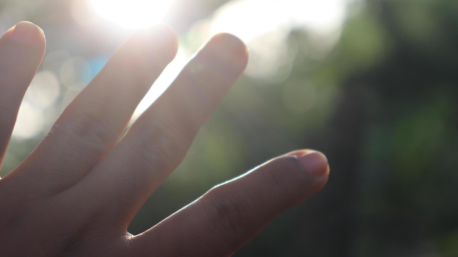 sun in hand photo