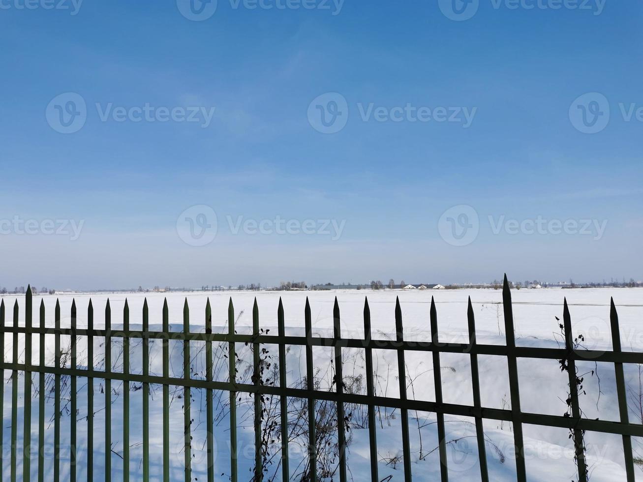 Spring in Pavlovsky Park white snow and cold trees photo