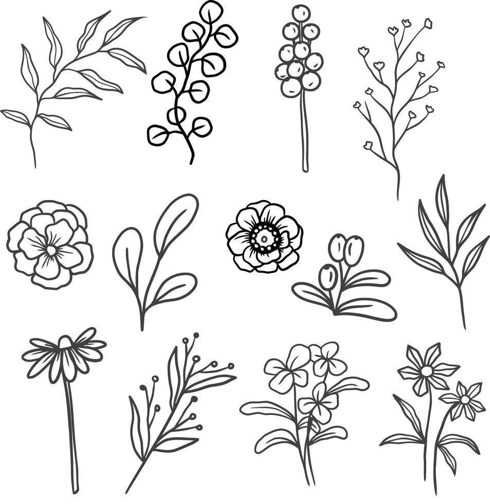 a set of hand drawn isolated plants vector