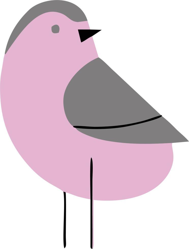 un arte vectorial de aves vector