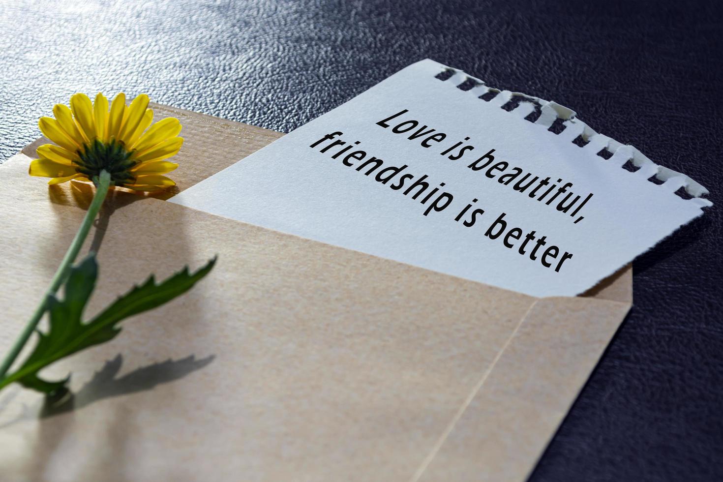 Motivational quote - Love is beautiful, friendship is better. photo