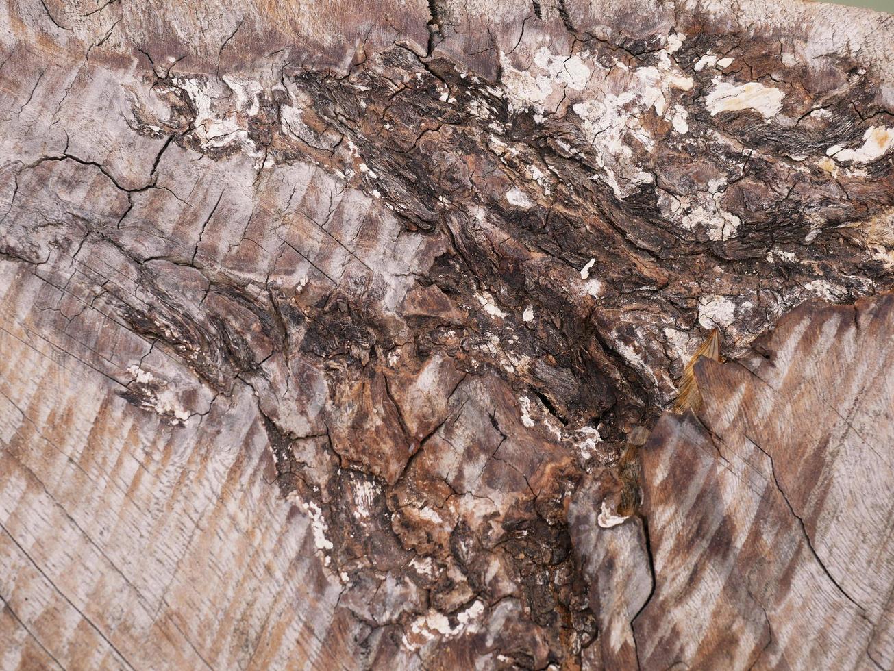 An old wooden plank table with a mottled surface and a pattern. photo