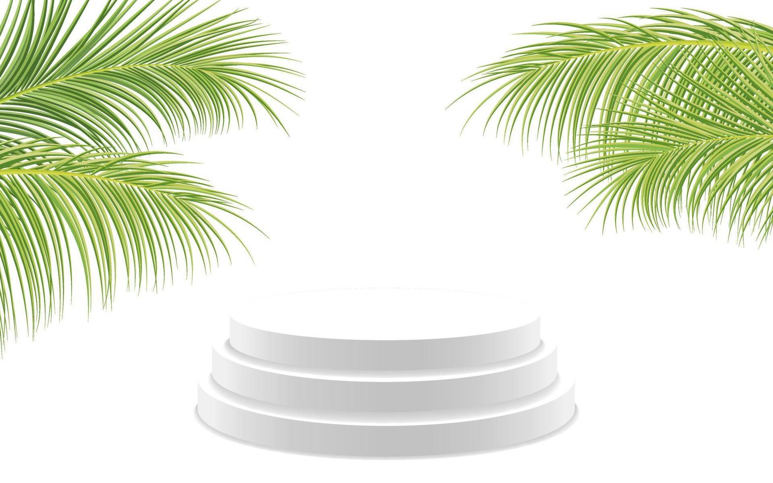 White product display podium with coconut leaves vector