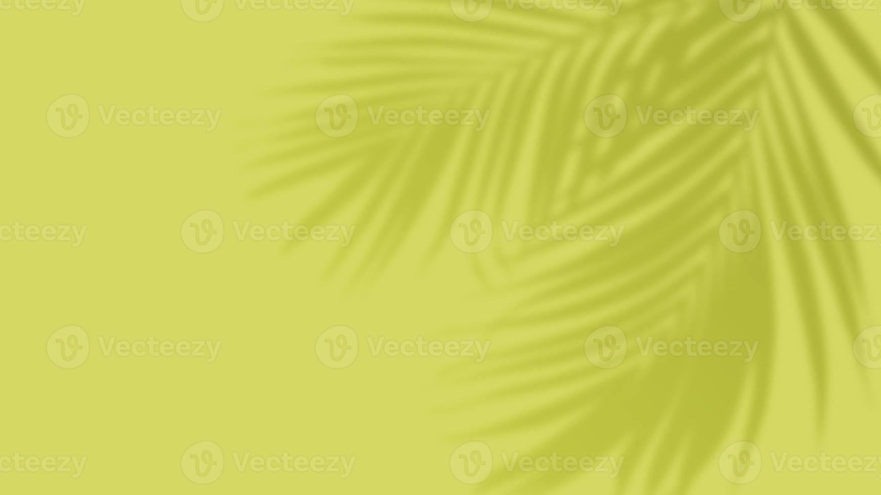 Palm tropical leaves shadow overlay on green background. Social media banner summer template photo