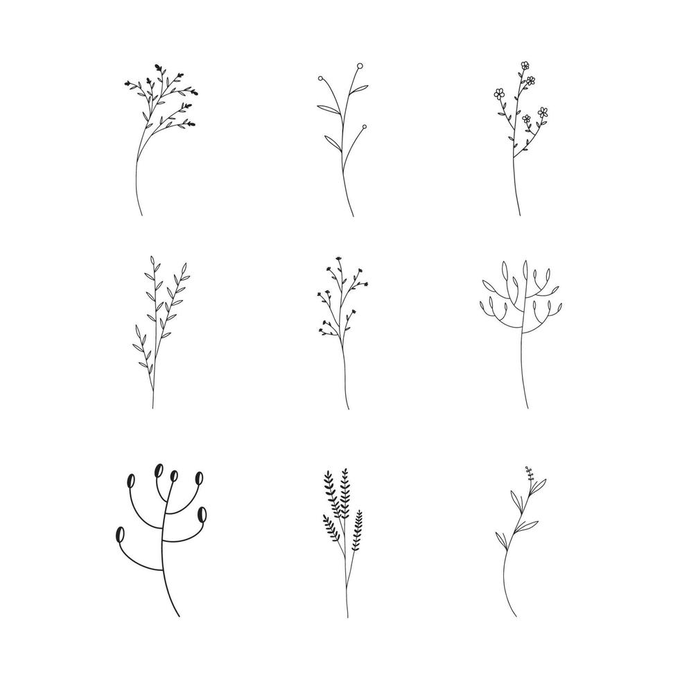 conjunto dibujado a mano de arte de línea de flores silvestres de doodle de hoja botánica vector
